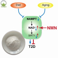 Nicotinamide anti-vieillissement blanchissant face sérum OEM / ODM